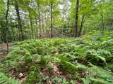 00 Level Green Road - Photo 15