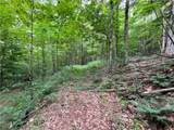 00 Level Green Road - Photo 16