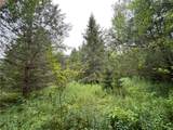 00 Level Green Road - Photo 20