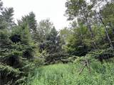 00 Level Green Road - Photo 3