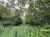 00 Level Green Road - Photo 5
