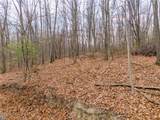  Dansville Mount Morris Road - Photo 10
