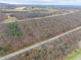  Dansville Mount Morris Road - Photo 19