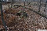 0 Morgan Hollow Rd. - Photo 18