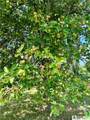 3265 Route 394 - Photo 46