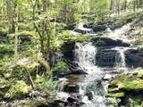  Bragg Hollow Road - Photo 5