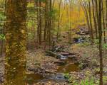  Bragg Hollow Road - Photo 6
