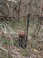 8399 State Highway 7 - Photo 2
