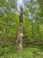 512 County Road 18 - Photo 22