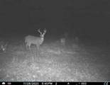 5437 County Road 33 - Photo 12