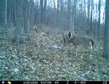 5437 County Road 33 - Photo 13