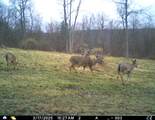 5437 County Road 33 - Photo 14