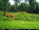 5437 County Road 33 - Photo 16