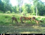 5437 County Road 33 - Photo 18