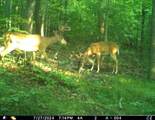 5437 County Road 33 - Photo 19