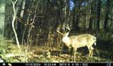 5437 County Road 33 - Photo 21