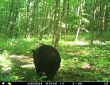 5437 County Road 33 - Photo 22