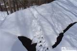 0 Morgan Hollow - Photo 13