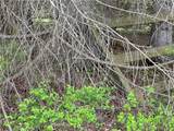 0 Pine Tree Road - Photo 10