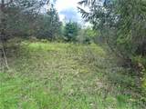 0 Pine Tree Road - Photo 8