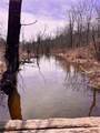 323 County Road 19 - Photo 11