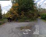  Morris Hill Road - Photo 1