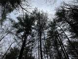  Thayer Road - Photo 11