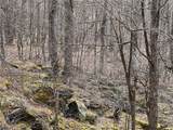  Upper Punchbowl Road - Photo 39