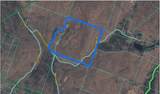  Upper Punchbowl Road - Photo 40