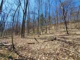 Lot 29 Old Plank Road - Photo 21