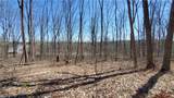 Lot 29 Old Plank Road - Photo 23