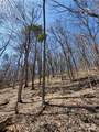 Lot 29 Old Plank Road - Photo 25