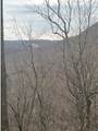  Houck Mountain Road - Photo 11