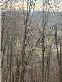  Houck Mountain Road - Photo 12