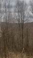  Houck Mountain Road - Photo 4