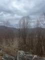  Houck Mountain Road - Photo 7