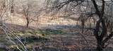  Davis Road - Photo 2