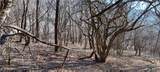  Davis Road - Photo 3