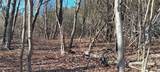  Davis Road - Photo 4