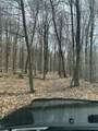 5760 County Route 21 - Photo 17