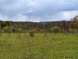Lot #37.01 County Highway 4 - Photo 1