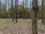 Lot #37.01 County Highway 4 - Photo 13