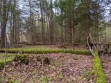 Lot #37.01 County Highway 4 - Photo 14