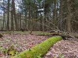 Lot #37.01 County Highway 4 - Photo 15