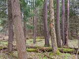 Lot #37.01 County Highway 4 - Photo 17