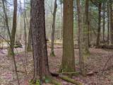 Lot #37.01 County Highway 4 - Photo 19