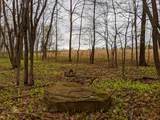 Lot #37.01 County Highway 4 - Photo 6