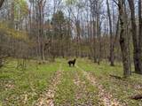 Lot #37.01 County Highway 4 - Photo 7