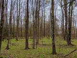 Lot #37.01 County Highway 4 - Photo 9