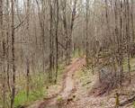  Fox Meadow Lane - Photo 5